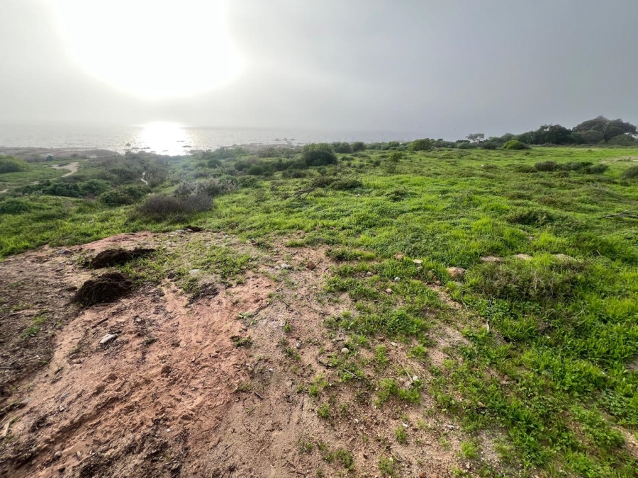 Commercial Property for Sale in St Helena Views Western Cape